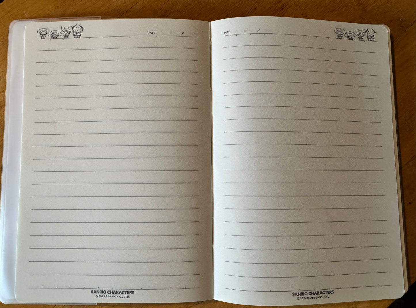 Large Character Notebooks
