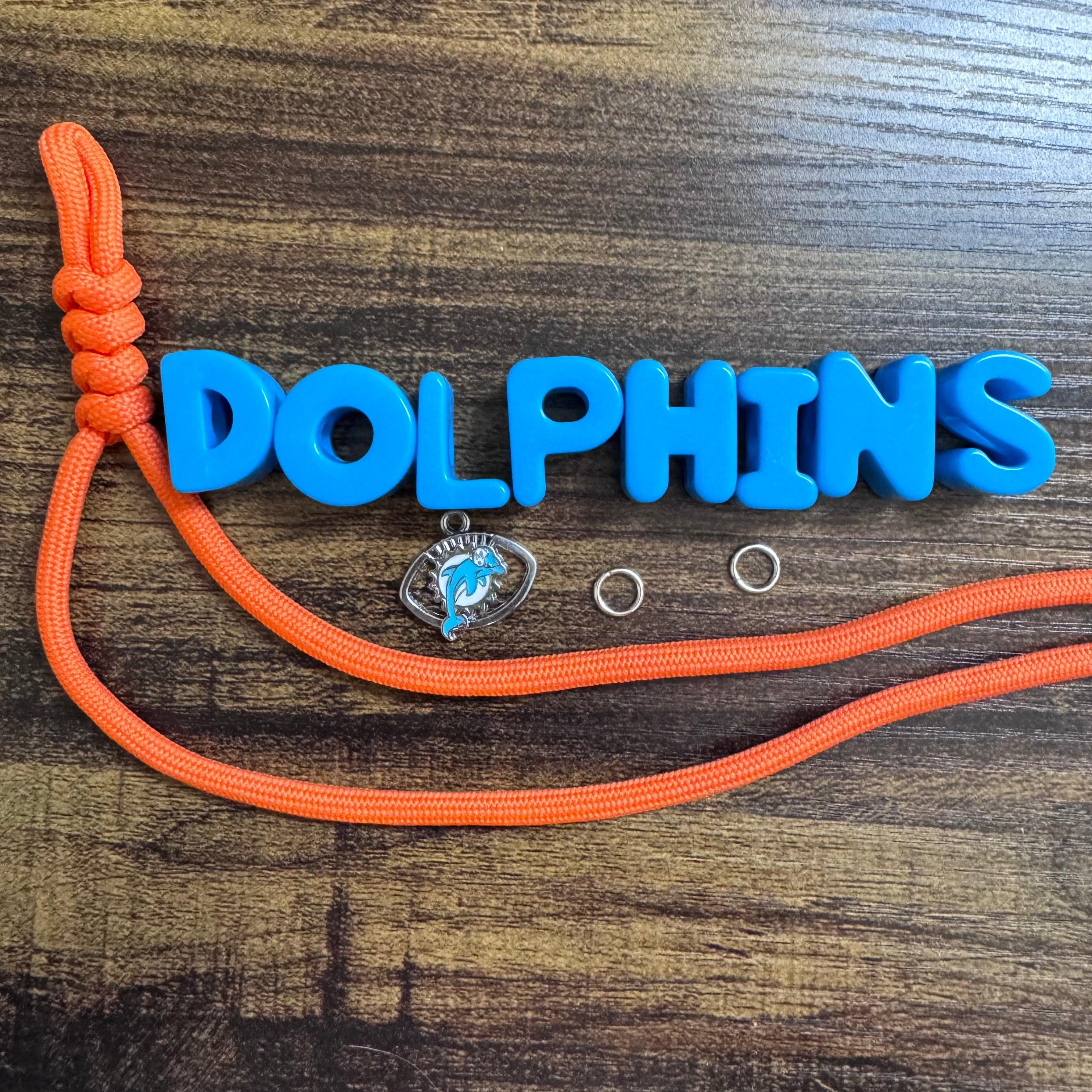 Dolphins Keychain Kit