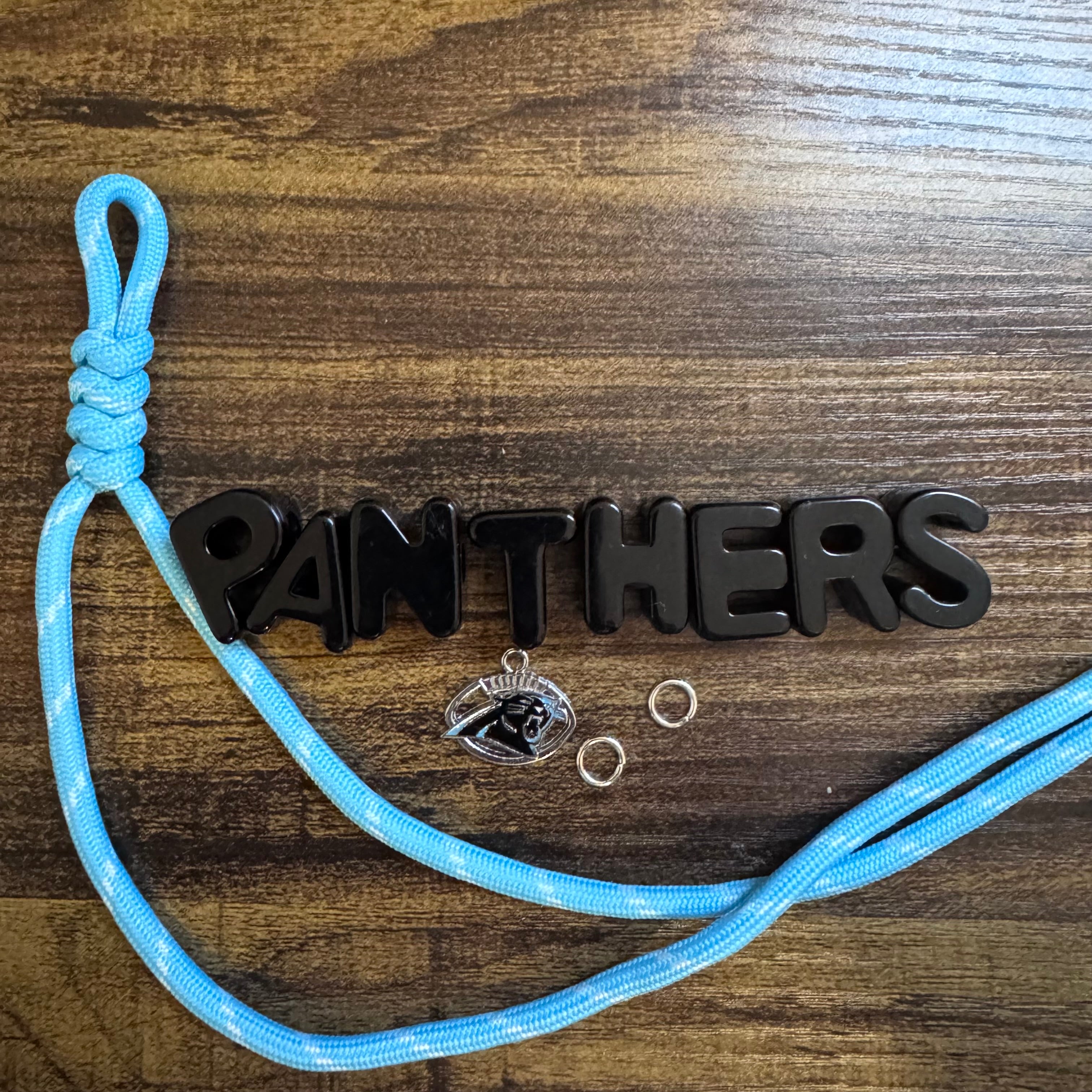 Panthers Keychain Kit
